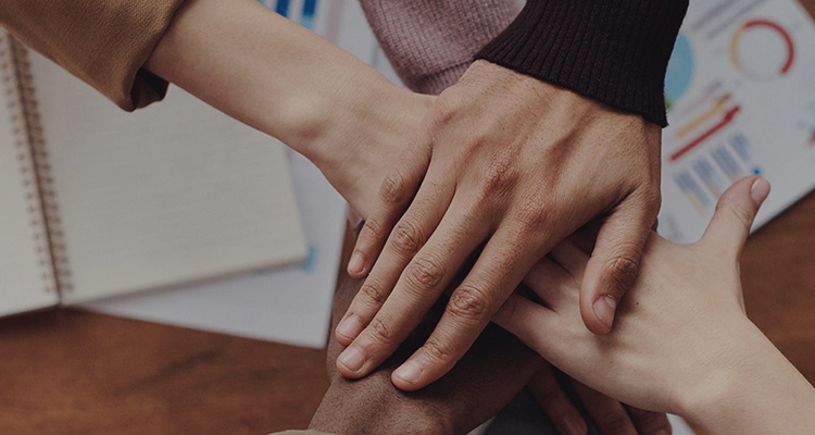 ��8ͷ�����(����)�ٷ���վ