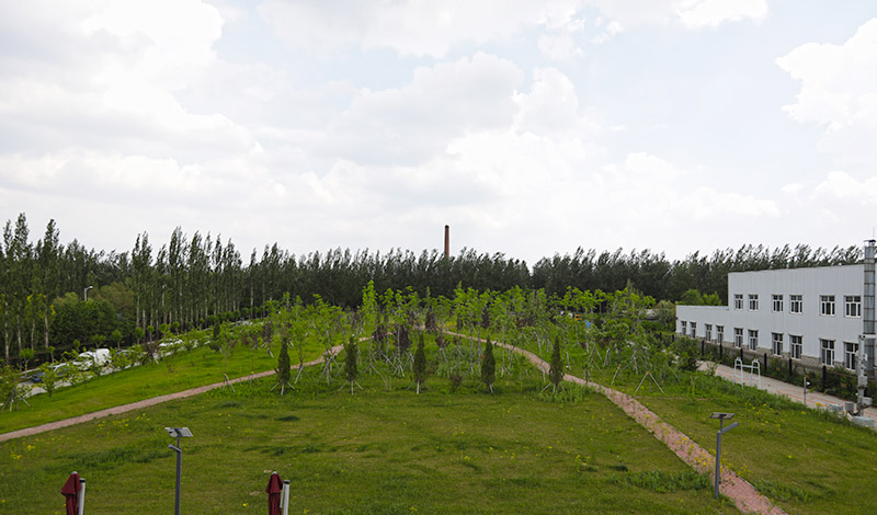 5c888d299fd3951fcb202fe6f81c84a2